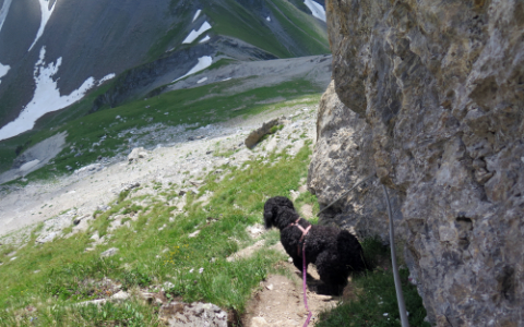Richetlipass